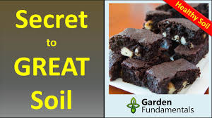 Maybe you would like to learn more about one of these? Landscape Fabric Weed Barrier Cloth Does Not Work