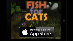 The sturdy legs and construction of these make them. Live Video Preview From Our 3d Fishing Game For Cats Fish Ipad Games Catfish