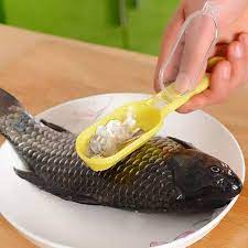 Ikan kembung besarikan kembung hijau besarikan pelaling temenung panjangikan sardin slayang makyangikan siakap senohong gelama ikan. 1pcs Fish Scale Remover Fish Cleaner Fish Scrapper Alat Membersihkan Sisik Ikan Dengan Perangkap Sisik Mudah Dikendalikan Alat Siang Ikan Lazada