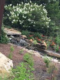 Who is dalton's flowers on november 5, 1941, william (dee) and anne dalton purchased a two acre tract of land in overland park, ks. 12 Overland Park Arboretum Kansas Ideas Overland Park Arboretum Overland Park Arboretum