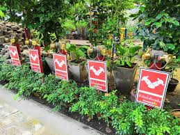 Check spelling or type a new query. Department Of Garden And Plants In The Garden Center Flowers Gardening Tools Pots Soil Fertilizers Russia Rostov Editorial Image Image Of Leaf Floral 188094745