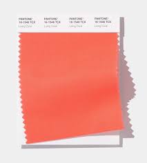 Its very best to do a little bit of measuring first, and therefore you don't wind up with a mural that's off center. Living Coral Tren Warna 2019 Dari Pantone