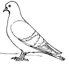 Pin On Coloring Pages And Sheets