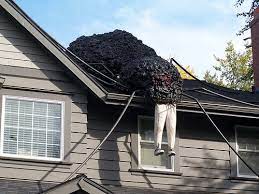We did not find results for: Front Porches A Fall Drive By The Inspired Room Halloween Porch Halloween Spider Decorations Roof Decoration