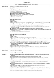 A junior accountant job description can be a good reference for the recruiter. Junior Consultant Resume Samples Velvet Jobs