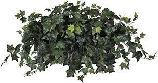 Home / silk english ivy plants. Amazon Com House Of Silk Flowers Artificial English Ivy Ledge Plant Home Kitchen
