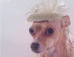 In a world where it's the norm for youngsters to be whizzes with technology. Sitting Down Minding My Own Business When This Picture Is Airdropped To Me I Don T Know Anyone Around Me No Context Funny