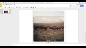 The way to cross out text in google docs isn't immediately obvious when you look at the toolbars that are available in an open document. How To Crop Edit Images In Google Slides Youtube