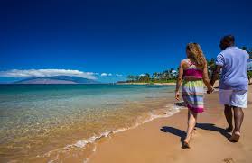 Let sit at room temperature, 15 to 20 minutes. 21 Best Things To Do In Wailea Maui Hawaii Travel With Kids