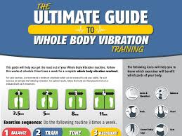 guide to whole body vibration workout