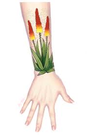 Check spelling or type a new query. Aloe Vera Tattoo Shannon Bebel