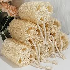 Image result for Luffa