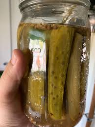 Do not make your spears too small. First Pickle Batch Are These Spots Of Mold The Jars Are Sealed Properly Fermentation