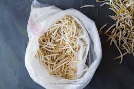 Dried beans are an important pantry staple. How To Keep Bean Sprouts Fresh Longer