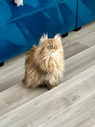 Kristin's Friends added a new photo.