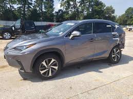 Image result for Nebula Gray 2018 NX
