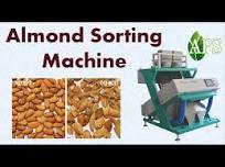 Almond sorting machine , Sorting Almond machine