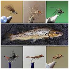 Here you will find our guide to the best flies for trout that are on the market now. 6 Successful Trout Flies For April On The Beautiful Welsh Dee