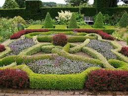 Check spelling or type a new query. Small Medium Sized Plants For Hedges Screens
