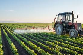 Agricultura va primi până în 2020 fonduri europene în valoare de 8,12 miliarde de euro, la care se mai adaugă 1,34 miliarde de euro fonduri europene în agricultură pentru tineri. Programe Fonduri Europene Accesare Fonduri Europene