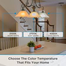 Is warm white or cool white best for the living room, bedroom, and bathroom? Vintage Led Edison Light Bulbs 4000k Daylight White Hudson Lighting Inc