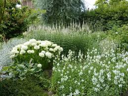 Pagewoman Hydrangea Anabelle White Garden Sissinghurst Kent England White Gardens Moon Garden Backyard Garden Landscape