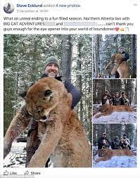 Also, never turn your back or kneel down in front. Grinning Canadian Tv Presenter Bags A Huge Mountain Lion Daily Mail Online