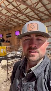 Login to Superior to watch the sale LIVE! Link in my bio! 1pm Central! I’m  bidder 375, Submit your final guesses below! #dayinmylife #cattle #sale  #DLCC #superiorlivestock