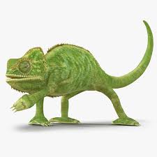 Chameleon Pose 3 3d Model Ad Chameleon Pose Model