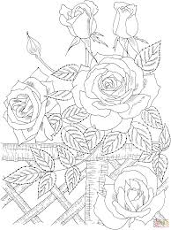 Pin On Riscos Bordado