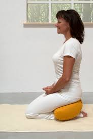 Du Bist Grosser Yogafan Oder Anhanger Der Meditation Dann Ist Unser Dinkel Halbmondkissen Prana Genau Das Richtige Produk Kissen Meditationskissen Meditation