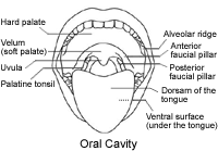 We did not find results for: Velopharyngeal Dysfunction Insufficiency Incompetence Mislearning