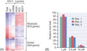 Genomic Signature An Overview Sciencedirect Topics