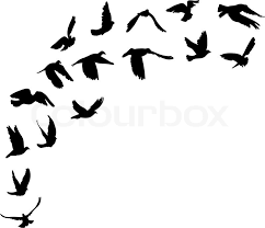 Doves And Pigeons Set For Peace Stock Vector Colourbox The best selection of royalty free flying dove silhouette vector art, graphics and stock illustrations. doves and pigeons set for peace