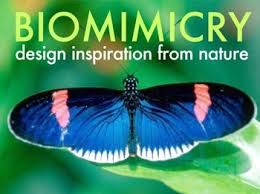 Biodesign The Process Of Innovating Medical Technologies Free Pdf Biomimicry Powerpoint Ask Nature Nature Inspiration Design