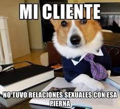Resultado de imagen para memes chistosos