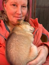 Spirit is the Nick Castellanos of the air