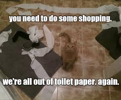 Lolcats - toilet paper - LOL at Funny Cat Memes - Funny cat pictures with  words on them - lol | cat memes | funny cats | funny cat pictures with words
