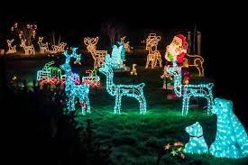 Wire Frames And Some Rope Light Can Go A Long Way Christmas Ready Holiday Lights Display Christmas Light Displays Christmas Garden Decorations