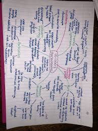 Gcse Medicine Renaissance Revision Notes Renaissance Medicine Medicine Notes