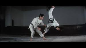 Dojunim Ji Han Jae Hapkido Korean Martial Arts Martial Arts