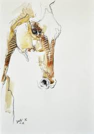 On instagram, we can see our favorite cats and dogs daily. Animal Drawings For Sale Horse Drawings Horse Art Animal Drawings