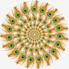 Pin On Vvv