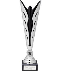Silver Trophy Cups Trophy Store Trophy Cup Trophy Store Trophy