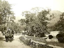 Müller-Humphreys Family history