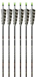 Easton Axis Realtree N Fused 500 Fletched Carbon Arrows