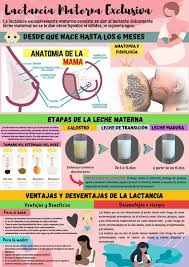 A nivel mundial, menos del 40% de los lactantes menores de seis meses reciben leche materna como alimentación exclusiva. Lactancia Materna Exclusiva Anatomia Materna Lactancia Udocz