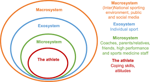 The job market for sports medicine physicians in the united states there are currently an estimated 372,400 sports medicine physicians in the united states. Mental Health In Elite Athletes Increased Awareness Requires An Early Intervention Framework To Respond To Athlete Needs Sports Medicine Open Full Text