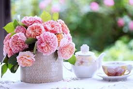 Spring, also known as springtime, is one of the four temperate seasons, succeeding winter and preceding summer. Download Wallpaper Good Morning Spring Season Tea Flower 1130x753 Download Hd Wallpaper Wallpapertip
