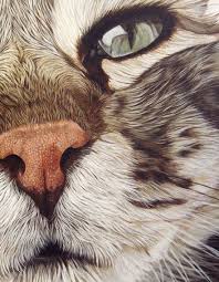 Ester Curini Painting Elfo Da Treville Detail Cat Painting Animal Art Cat Art